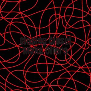 CLOSING CLOSET MAKE OFFERS